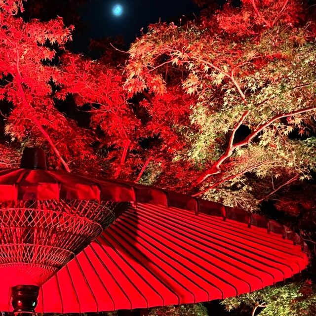 福岡友泉亭公園
2025春夏秋冬
🍁もみじの宴🍁
✨️プロジェクションマッピング✨️
やさしくこころに響く秋の夜
今年はちょっぴり早い紅葉を友泉亭公園で
ライトアップだけではない、癒しの時間を夜風にゆらぐ灯りと音とともに身をゆだねてみませんか…きっと四季それぞれの日本の美が心癒してくれますよ。
お待ちしております。
#日本庭園 #福岡市#日本の風景 #日本の美#綺麗#癒し#夜デートスポット#家族旅行#福岡観光#ドライブデート #四季 #感動