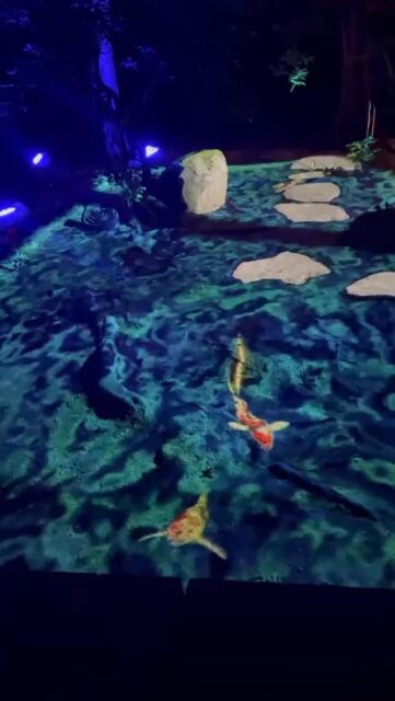 11月も半ば、日が暮れると冷たい風が頬をかすめ、秋の終わりを感じる季節になってきました。
友泉亭公園のプロジェクションマッピング「もみじの宴」では、鯉が泳ぐように映し出される美しい演出もご覧いただけます。
メインの演出ではありませんが、
静かな音楽とともにゆらめく光の鯉を眺めていると、
時がゆっくりと流れていくような、不思議な癒しに包まれます☺️
秋の夜、少し冷たい空気とあたたかな灯りのなかで、
穏やかな時間を過ごしてみませんか。
▼イベント概要
友泉亭公園 プロジェクションマッピング「もみじの宴」
春夏秋冬2025 〜庭園を舞う七つの音色〜
・期間:2025年10月5日(日)〜11月24日(月・祝)
・時間:18:00〜21:00(開催期間中は無休)
・料金:大人1,000円/中高生700円/小学生500円/幼児無料(すべて税込・入園料込)
・場所:友泉亭公園(福岡市城南区友泉亭1-46)
静寂の庭園に光と音が舞う、秋の夜のひとときをお楽しみください。
================
Projection Mapping at Yusentei Park — “Momiji no Utage”
Four Seasons 2025: Seven Melodies Dancing in the Garden
・Dates: October 5 – November 24, 2025
・Time: 6:00 PM – 9:00 PM (Open daily during the event)
・Tickets (available at the entrance):
-Adults: ¥1,000
-Junior high & high school students: ¥700
-Elementary school students: ¥500
-Preschool children: Free
・Venue: Yusentei Park(1-46 Yusentei, Jonan-ku, Fukuoka City, Japan)
Experience a magical autumn night surrounded by lights, music, and the timeless beauty of a Japanese garden.
#もみじの宴 #友泉亭公園 #プロジェクションマッピング #福岡イベント #福岡観光 #秋の夜長 #紅葉ライトアップ #夜の庭園 #YusenteiPark #ProjectionMapping #鯉 #友泉亭