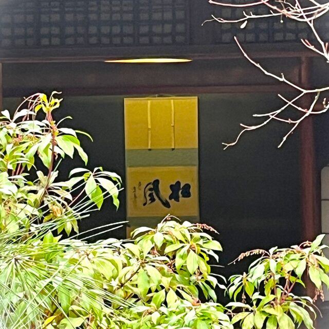 松風園より~感謝を込めて~
たくさんの皆さまに足をお運びいただきまして、誠にありがとうございました。
四季折々の景色を多くのお客さまと共に分かち合えたこと大変嬉しく思っております。
来年もこころ静かにお過ごしいただける庭園であり続けられるよう、努めて参ります。
どうぞ変わらぬご愛顧を賜りますようお願い申し上げます。
どうぞ良いお年をお迎えくださいませ
なお、2026年は1月2日(金)から開園致しております。
お近くにお越しの際はふらりとお立ち寄り頂けると嬉しいです。
ご来園お待ちしております。
#日本庭園
#福岡市
#おすすめ
#喫茶
#癒しの時間
#抹茶
#松風園
#福岡観光
#帰省
#散歩