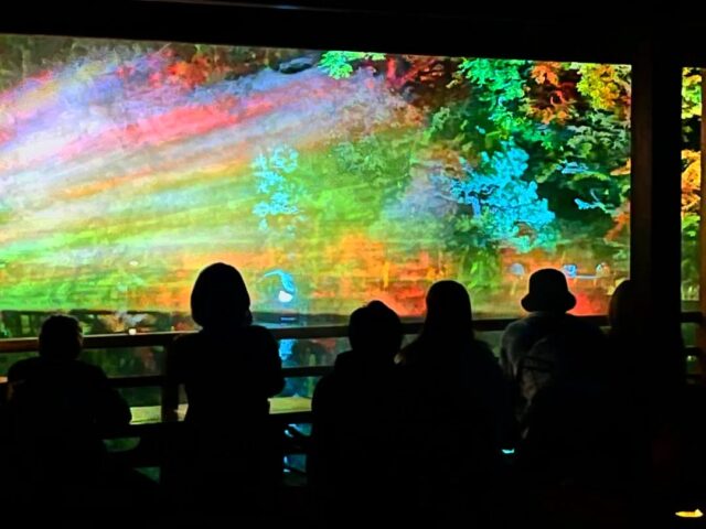 福岡友泉亭公園
プロジェクションマッピング
🌈〜庭園に舞う七つの音色〜🌈
12月14日まで期間限定イベント開催中!!
ゆっくりとプロジェクションマッピングを楽しみたい方にオススメです。
開催期間
2025年12月14日まで期間延長
時間
18時〜21時
料金
大人1000円 中高生700円 小学生500円
(幼児無料)
※安全ご覧頂く為に入場を制限する場合がございます。
#プロジェクションマッピング
#日本庭園
#おすすめ
#福岡市
#夜景
#イベント情報
#ライトアップ
#もみじ
#九州