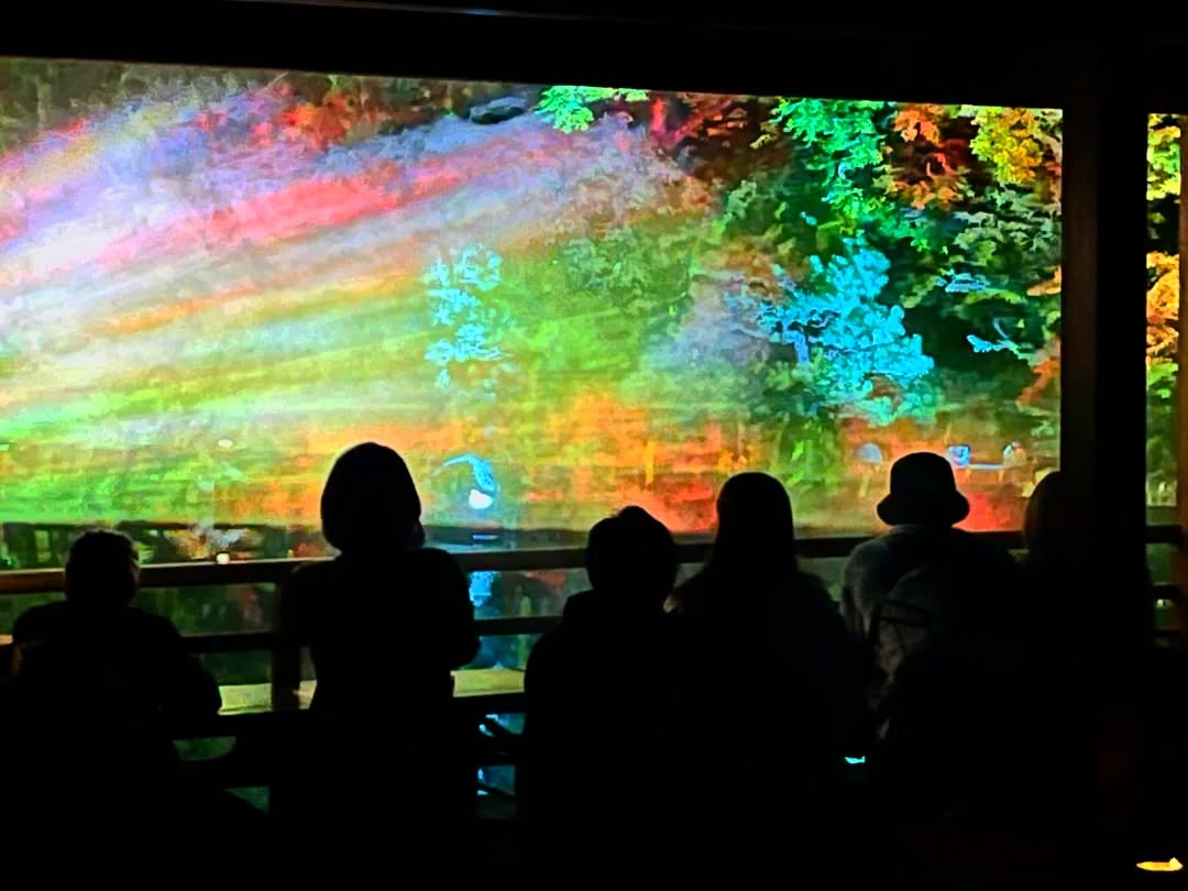 福岡友泉亭公園
プロジェクションマッピング
🌈〜庭園に舞う七つの音色〜🌈
12月14日まで期間限定イベント開催中!!
ゆっくりとプロジェクションマッピングを楽しみたい方にオススメです。
開催期間
2025年12月14日まで期間延長
時間
18時〜21時
料金
大人1000円 中高生700円 小学生500円
(幼児無料)
※安全ご覧頂く為に入場を制限する場合がございます。
#プロジェクションマッピング
#日本庭園
#おすすめ
#福岡市
#夜景
#イベント情報
#ライトアップ
#もみじ
#九州