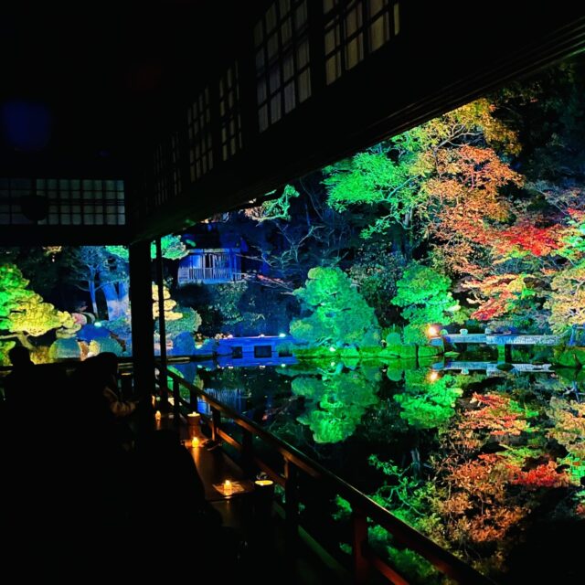 開催期間を延長もいよいよ残り5日‼友泉亭公園
✨プロジェクションマッピング✨
延長期間中も多くのお客様に足をお運びいただき、とても嬉しく思っております。
まだお越しでない方も、気になっている方も、ぜひこの機会に「もみじの宴」今年の最後の美しい景色と音と光のアートをお楽しみください。
夜は冷えますので、あたたかくしてお越しくださいね。
開催期間
2025年10月5日(日)~12月14日(日)
時間
18:00~21:00
料金
大人1000円 中高生700円
小学生500円 (幼児無料)
(税込/入園料込み)
会場:友泉亭公園
福岡市城南区友泉亭公園1-46
#日本庭園
#福岡市
#穴場
#プロジェクションマッピング
#紅葉ライトアップ
#福岡観光
#夜景
#感動
#きれい
#インスタ映えするやつ
#旅の思い出
#おすすめ