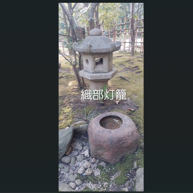 *
「楽水園の石灯籠 第2弾」
今日は楽水園で一番小さい石灯籠を紹介します。
かわいいでしょう。
織部灯籠といいます。
一番大きな石灯籠とこんなに大きさが違います。
楽水園には他にもいろんな種類の石灯籠があります。
皆さんに是非ご来園お待ちしてます。
…楽水園より
#楽水園
#rakusuien
#福岡観光
#日本庭園
#JapaneseGarden
#茶室
#都会のオアシス
#博多
#住吉