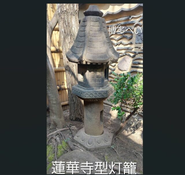 *
「楽水園の石灯籠 第3弾」
今日は連華寺型灯籠
(れんげじがたとうろう)を紹介します。
六角形の急勾配な傘。
とんがった細い灯籠で、シュッとしています。
とがった塔は屋根瓦の模様になっていて、和風なのに洋風な大正ロマンを感じます。
江戸時代、京都の蓮華寺の庭園にある独特な形の灯籠を茶人たちが好んで取り入れるようになり、いつしかその寺の名から「蓮華寺型」と呼ばれるようになったそうです。
後ろの「博多べい」については次回ご紹介します。
…楽水園より
#楽水園
#rakusuien
#福岡観光
#日本庭園
#JapaneseGarden
#茶室
#都会のオアシス
#博多
#住吉