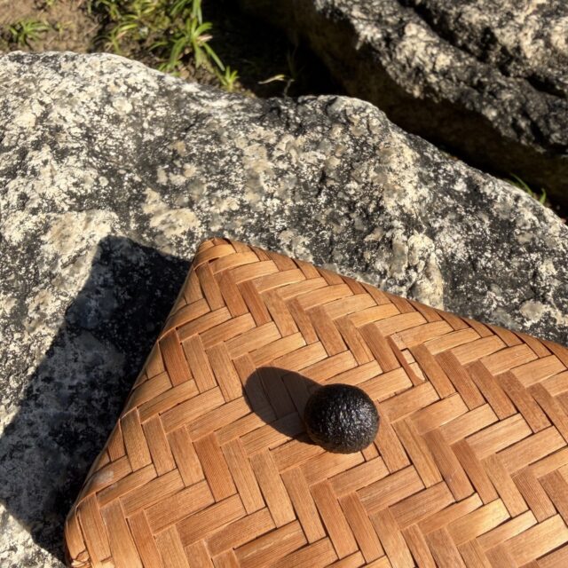 【香司つる子先生のお香教室】
(4回連続講座)
香司つる子先生のお香教室が無事終了ました。
本日、今期のお香教室が無事に終了しました。
ご参加いただいた皆さま、本当にありがとうございました!
昨年秋に始まった4回連続の講座は、塗香作りからはじまり、今回の練香まで、緑豊かな茶庭を眺めながら、ゆったりとした時間の中で行われました。
作業中は先生から香りの持つ効用や、様々なお香の形の話を聞き日本の香り
について学んでいただきました。
出来上がった皆さんの練香です。
それぞれに個性がありますね!
これからもご自身で作られた香りを生活の中に活かしていただければと思います。
ご参加の皆さまから、楽しかった、また参加したいと嬉しいお言葉も頂戴いたしました。
来期も庭園の緑が美しい初夏からお香教室を開催できればと考えております。
開始のご案内は当園のホームページと市政だよりで致します。
皆さまのご参加をお待ち致しております。
#松風園
#日本庭園
#伝統文化
#体験
#香
#練香
#手作り
#福岡市
#fukuoka
#庭園
#楽しい時間