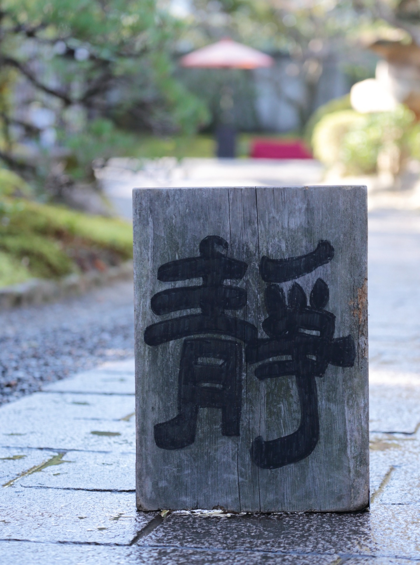 *
「開園前の友泉亭公園」

開園前の友泉亭公園は慌ただしく来園者をお迎えする為の準備をしています。
今日も静かにおもてなしの心でお待ちしております。

…友泉亭公園より

#友泉亭
#友泉亭公園 
#yusentei
#福岡
#日本庭園
#JapaneseGarden
#茶室