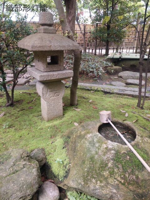 *
「楽水園の石灯籠　第5弾」

茶庭(露地)にある織部形灯籠(おりべがたとうろう)を紹介します。

古田織部が考案したとされていて、直接地面に埋め込む「埋め込み式」の石灯籠です。

十字や聖母マリアを模した地蔵が刻まれていることから別名「キリシタン灯籠」とも呼ばれ、茶庭(露地)の明かりとして好まれます。

織部灯籠の火袋(明かりが灯る部分)は、前後に「丸い穴」を東(太陽が昇る方向)、「三日月型の穴」を西へ向けて配置しているのが伝統的なようです。

菖蒲の間から茶庭にある石灯籠を是非ご覧ください。

…楽水園より

#楽水園
#rakusuien
#福岡観光
#日本庭園
#JapaneseGarden
#茶室
#都会のオアシス
#博多
#住吉