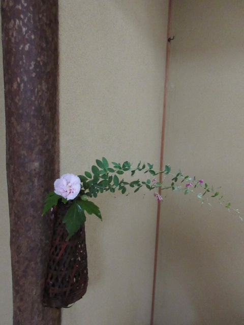 「処暑(しょしょ)」
処暑とは、暑さが収まり、朝晩の涼風や虫の声が心地よくかんじられ、初秋へと移ろいゆくころです。
とはいえ、まだまだ暑いですね…
皆さま、おかわりございませんか。
飾り棚の額には、ナスとマツムシでしょうか…
床の間の掛花入れには、ニワフジ。ギオンマモリとハギ。ムクゲ、ムラサキシキブ、アオバナフジバカマ。
残暑厳しき折、どうぞお身体おいといください…
…楽水園より
#楽水園
#rakusuien
#福岡観光
#日本庭園
#JapaneseGarden
#茶室
#都会のオアシス
#博多
#住吉