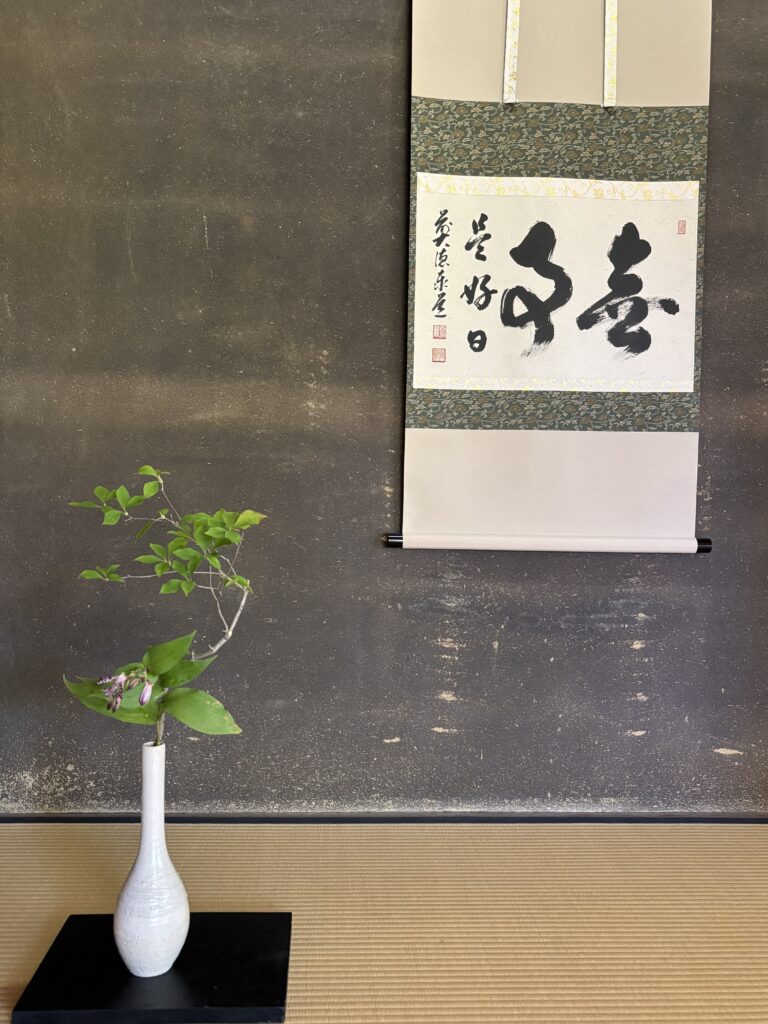 やっと秋らしい日々となりました